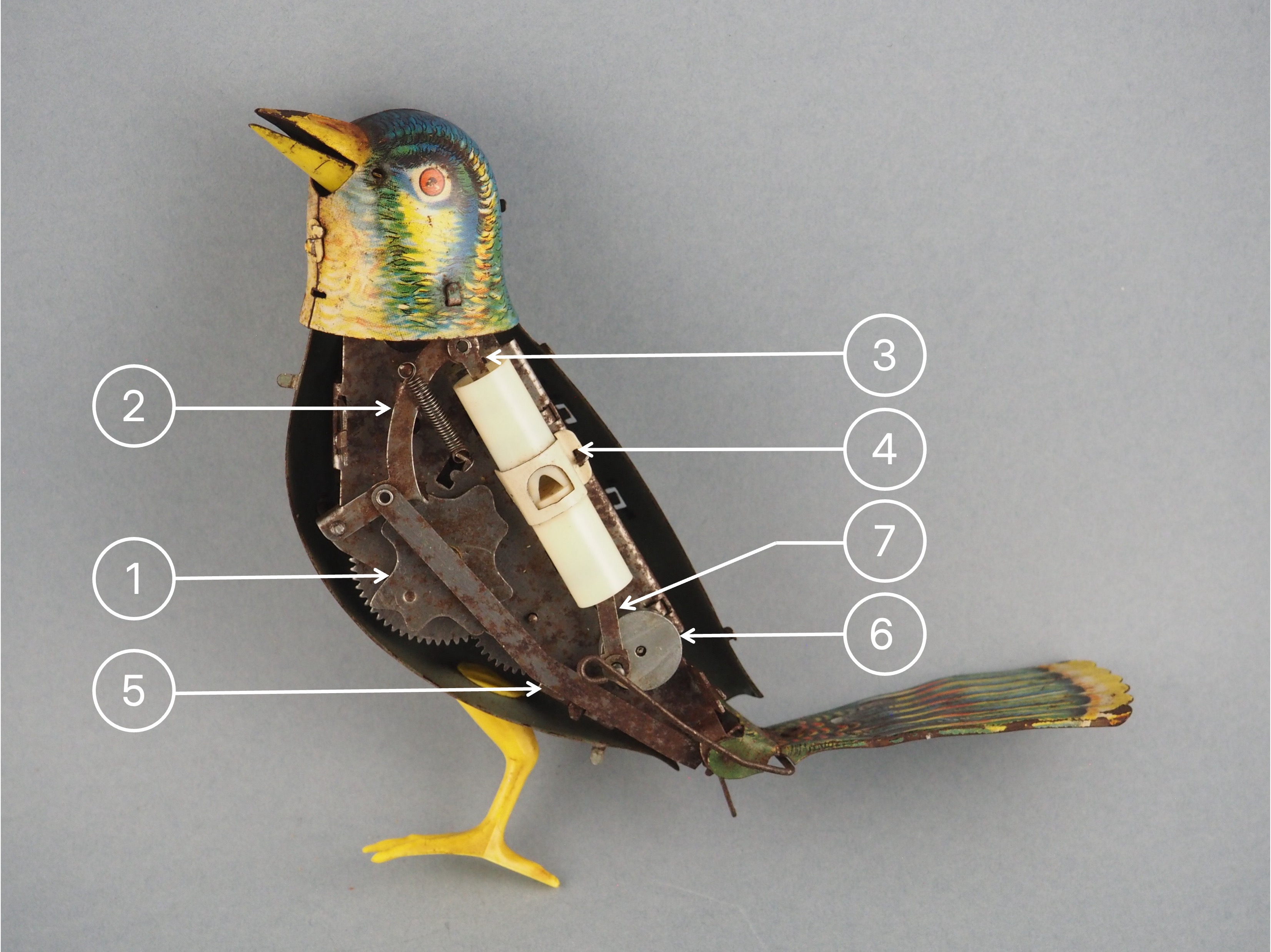 Jubilant Songbird mechanism 1